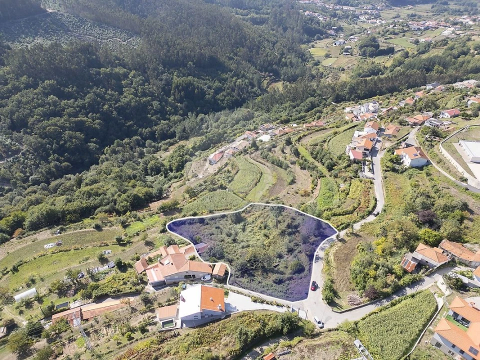Terreno para Venda em São Pedro de Castelões Foto 36