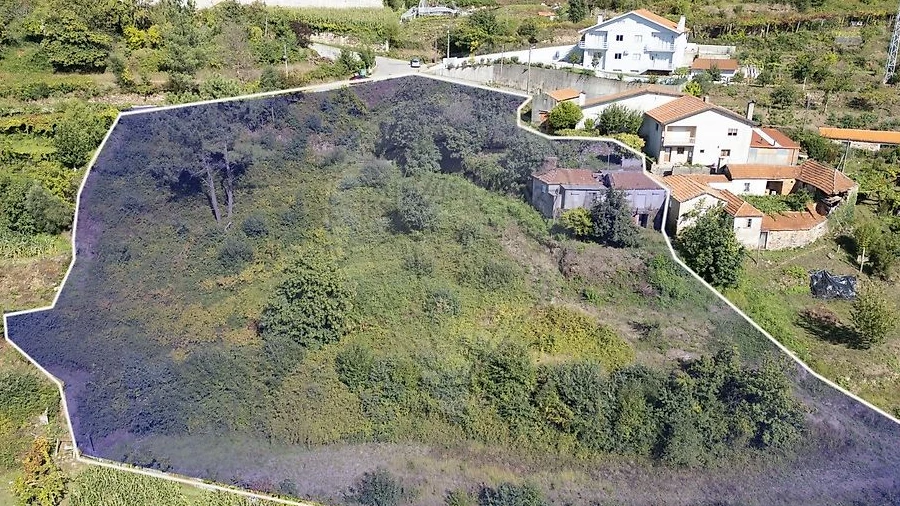 Terreno para Venda em São Pedro de Castelões