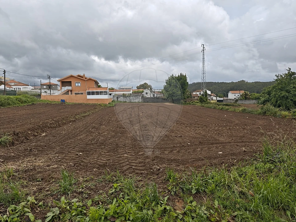 Terreno para Venda em Lourosa Foto 6