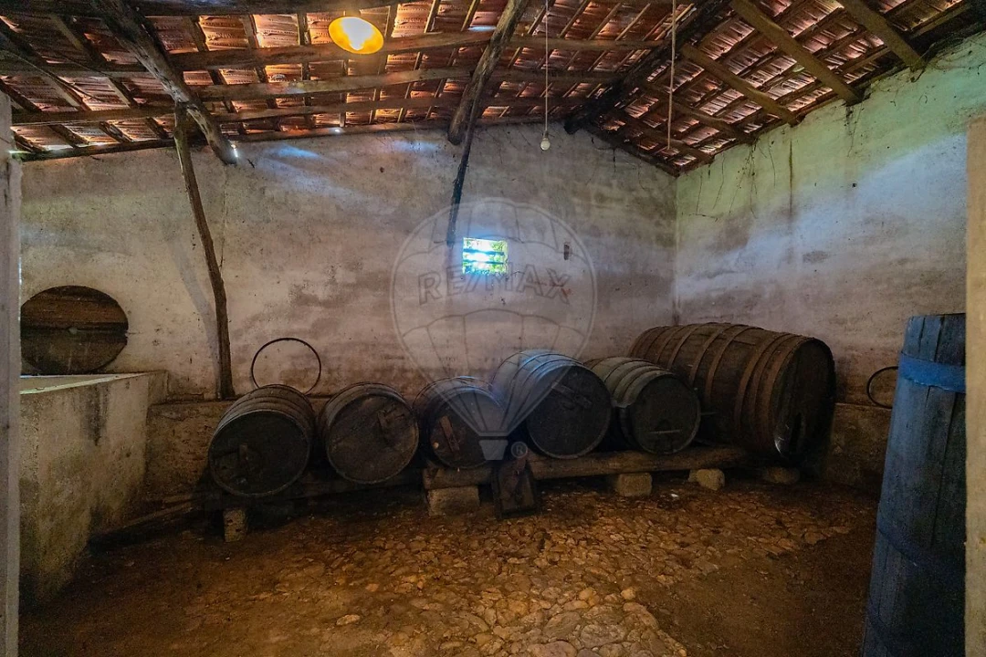 Quinta T7 para Venda em Côja e Barril de Alva Foto 43