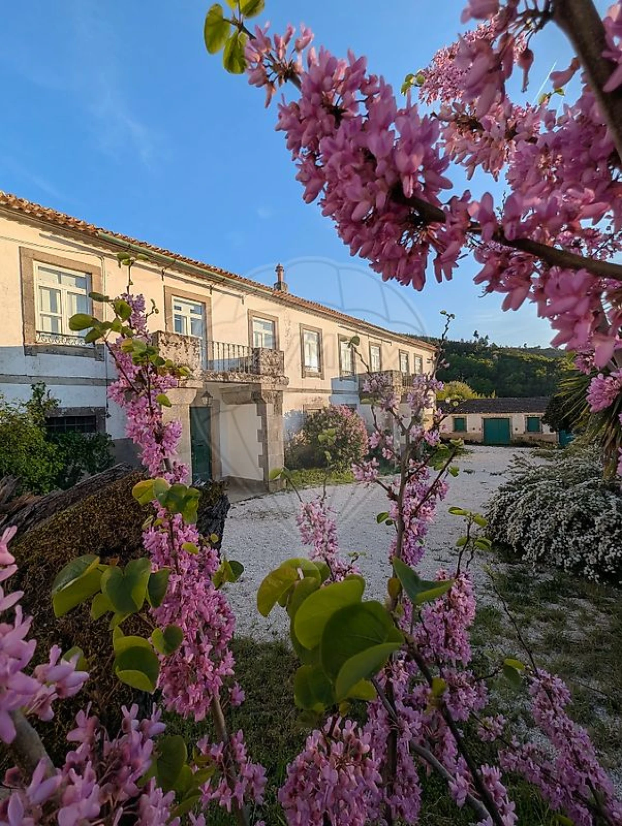 Quinta T7 para Venda em Côja e Barril de Alva Foto 45