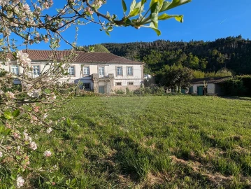 Quinta T7 para Venda em Côja e Barril de Alva