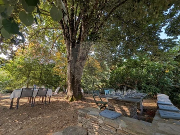 Quinta T7 para Venda em Côja e Barril de Alva