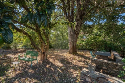Quinta T7 para Venda em Côja e Barril de Alva