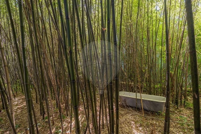 Quinta T7 para Venda em Côja e Barril de Alva