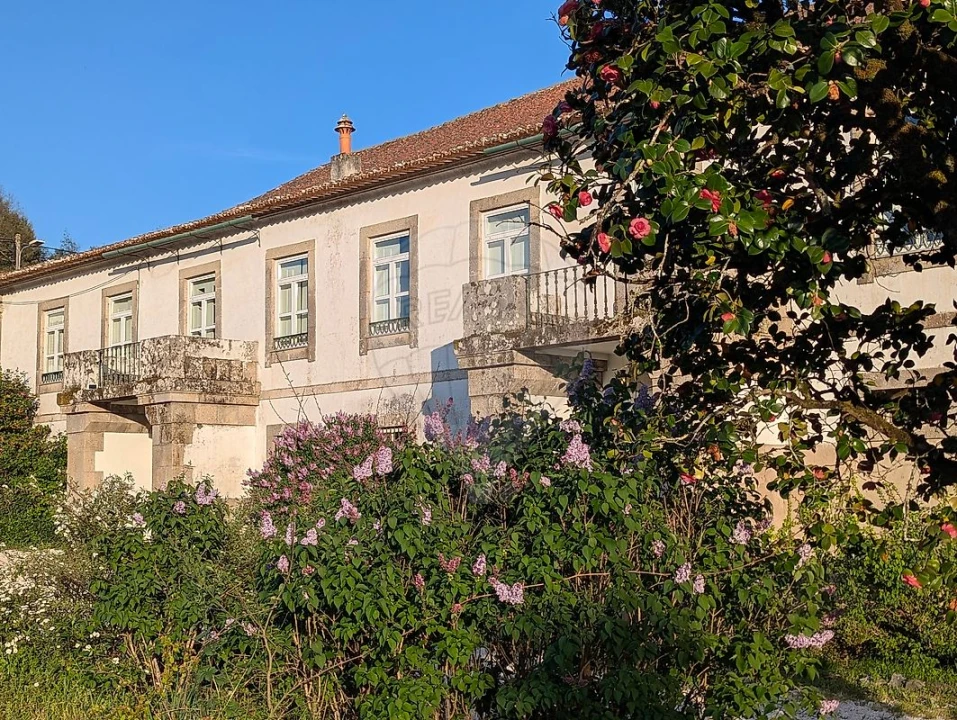 Quinta T7 para Venda em Côja e Barril de Alva Foto 44