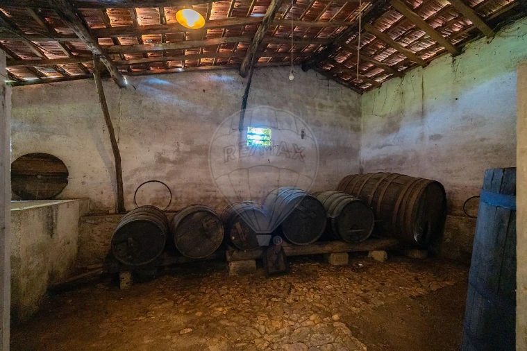 Quinta T7 para Venda em Côja e Barril de Alva Foto 43