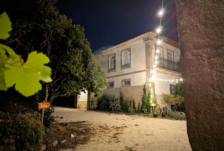 Quinta T7 para Venda em Côja e Barril de Alva Foto 11