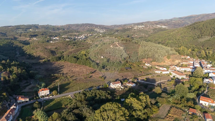Quinta T7 para Venda em Côja e Barril de Alva Foto 42