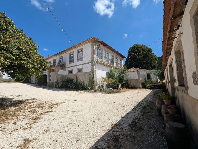 Quinta T7 para Venda em Côja e Barril de Alva Foto 28