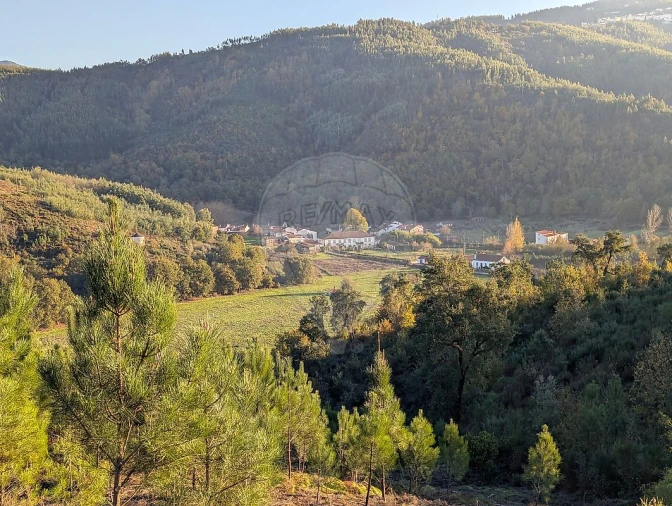 Quinta T7 para Venda em Côja e Barril de Alva Foto 41