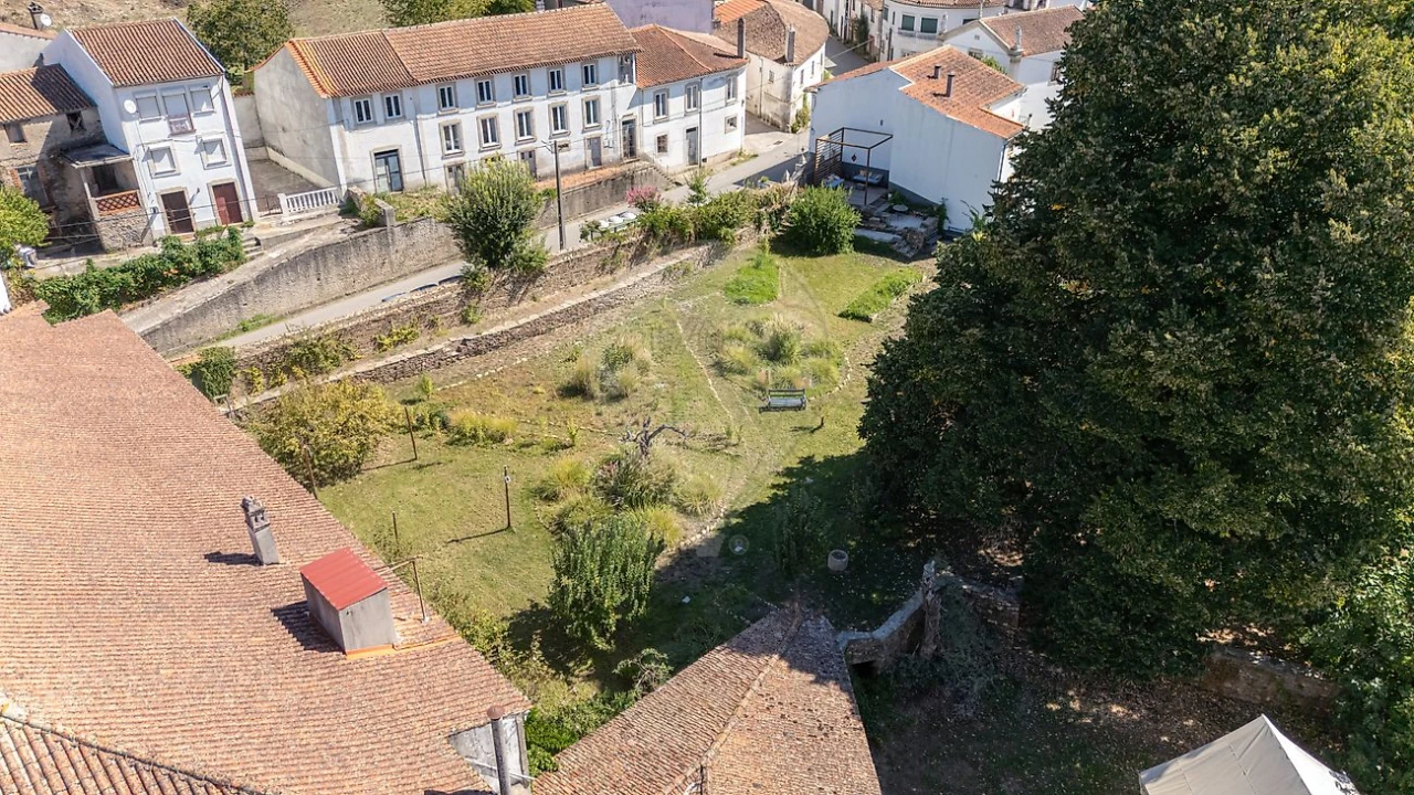 Quinta T7 para Venda em Côja e Barril de Alva Foto 6