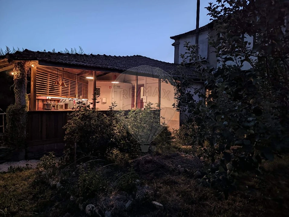 Quinta T7 para Venda em Côja e Barril de Alva Foto 14