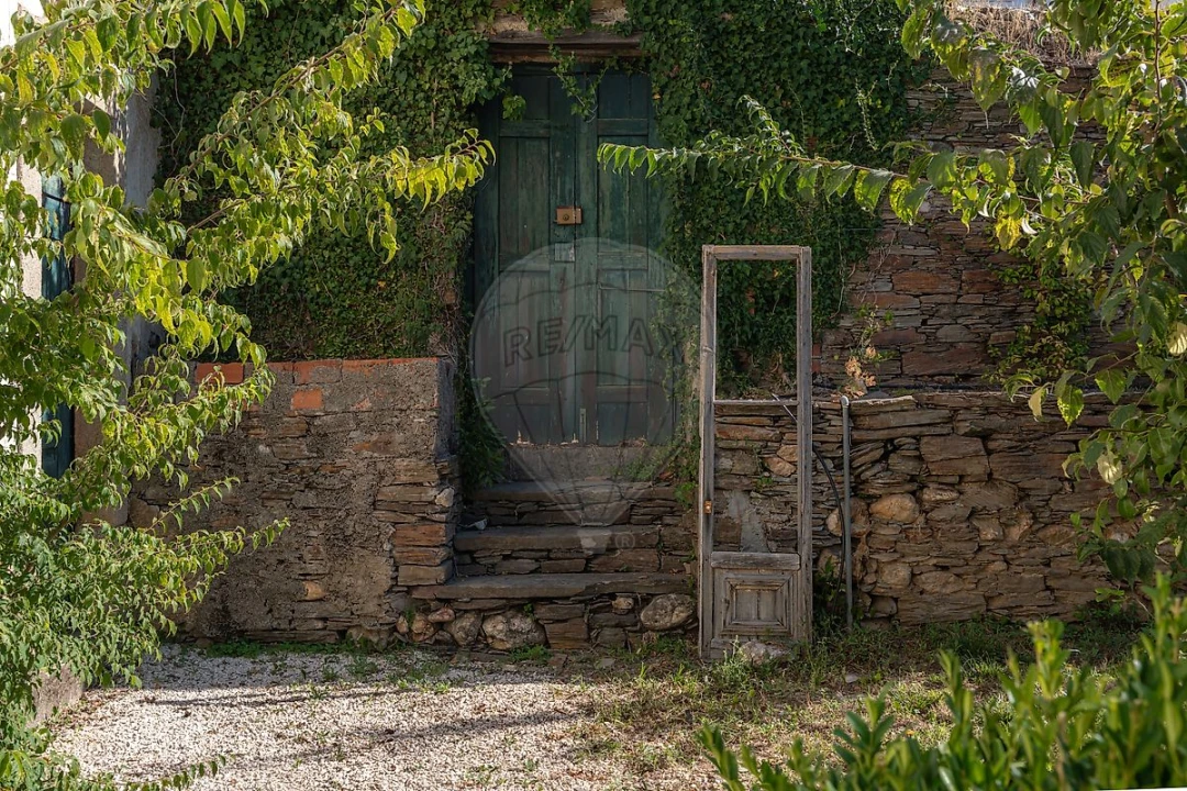 Quinta T7 para Venda em Côja e Barril de Alva Foto 7