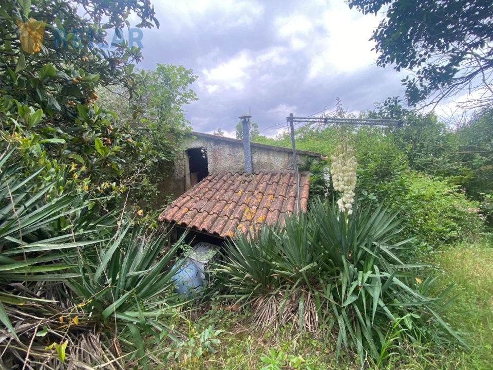 Terreno para Venda em Alenquer (Santo Estêvão e Triana) Foto 4