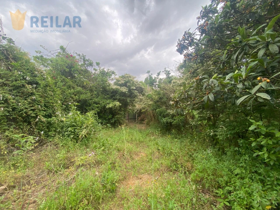 Terreno para Venda em Alenquer (Santo Estêvão e Triana) Foto 8