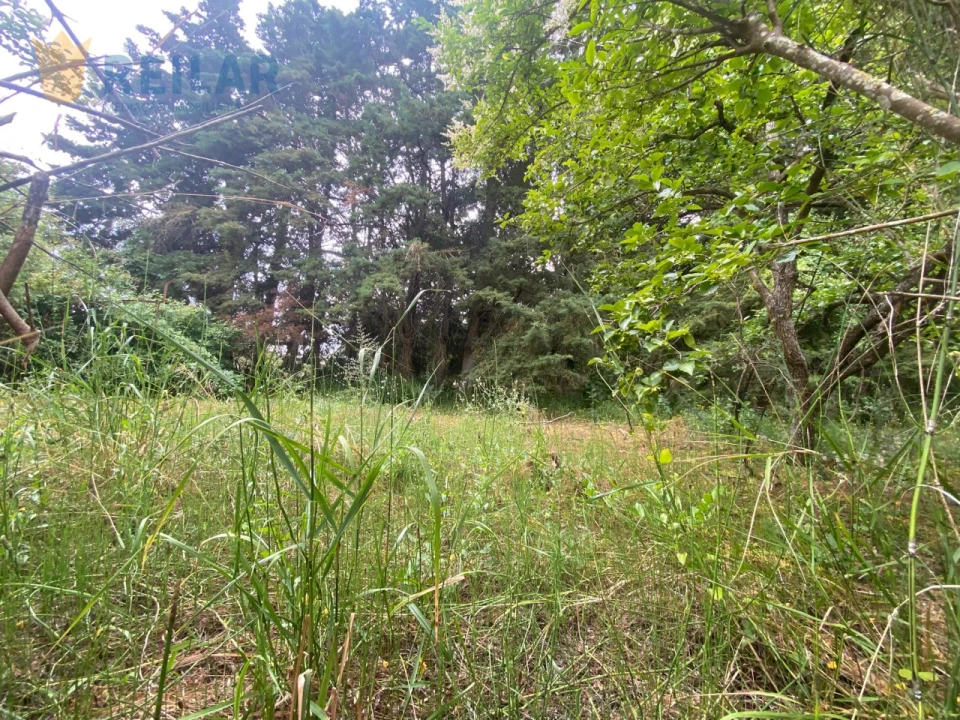 Terreno para Venda em Alenquer (Santo Estêvão e Triana) Foto 10