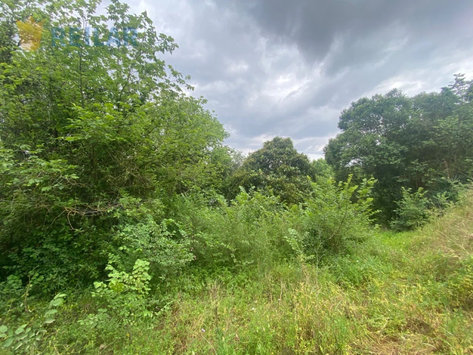 Terreno para Venda em Alenquer (Santo Estêvão e Triana) Foto 12