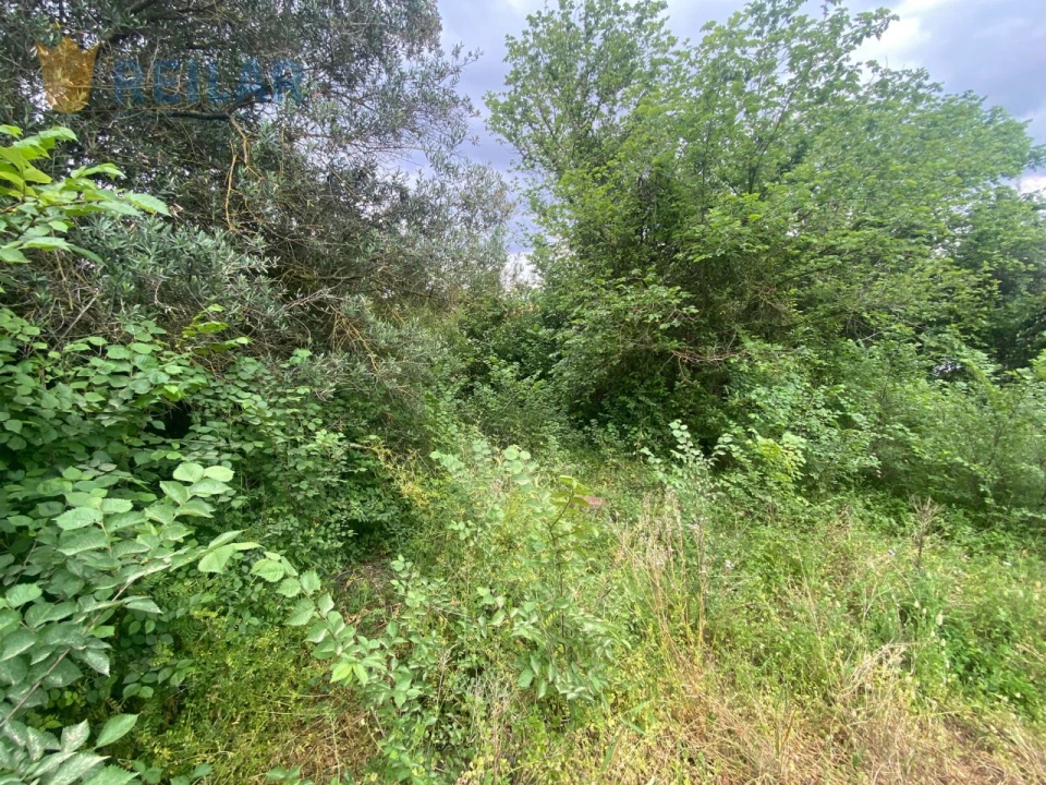 Terreno para Venda em Alenquer (Santo Estêvão e Triana) Foto 13