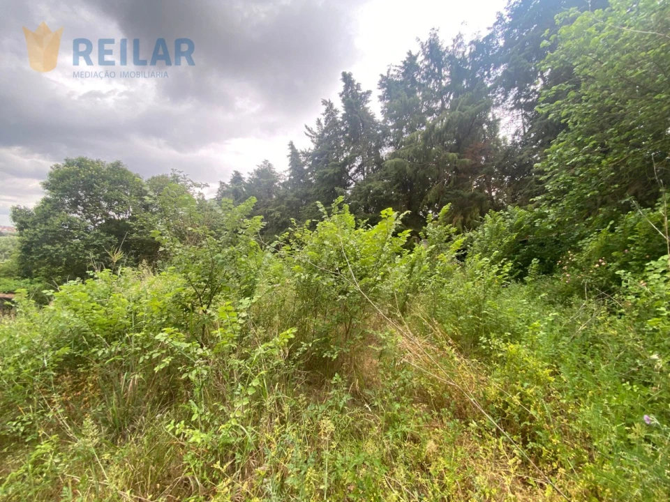 Terreno para Venda em Alenquer (Santo Estêvão e Triana) Foto 14