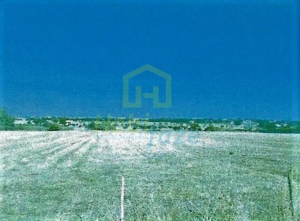 Terreno Agricola ou Rústico para Venda em Bacelo e Senhora da Saúde Foto 2