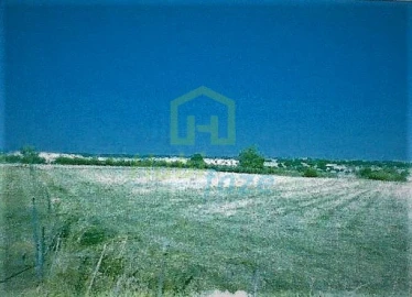 Terreno Agricola ou Rústico para Venda em Bacelo e Senhora da Saúde