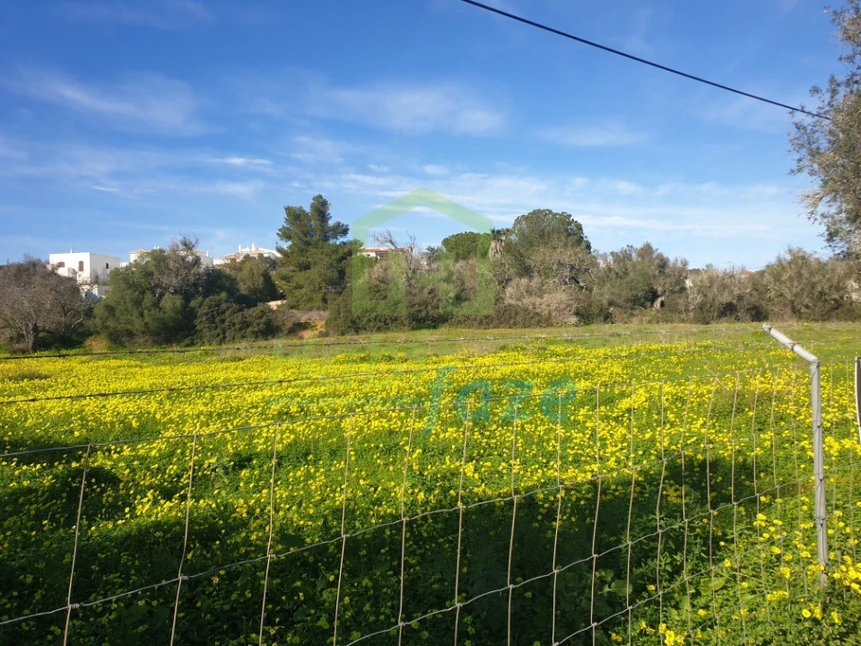 Terreno para Venda em Armação de Pera Foto 3