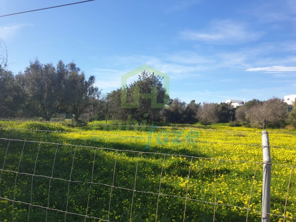 Terreno para Venda em Armação de Pera Foto 4