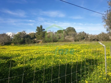Terreno para Venda em Armação de Pera