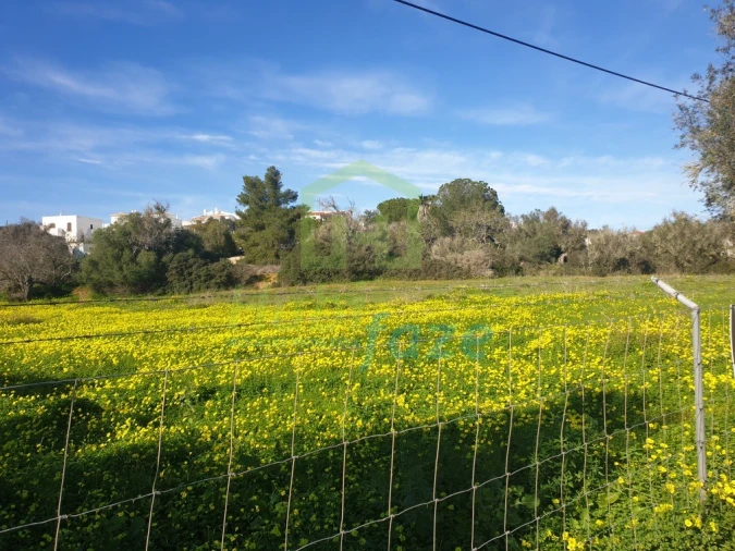 Terreno para Venda em Armação de Pera Foto 3