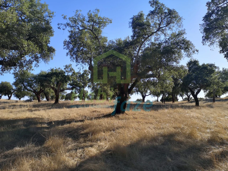 Quinta para Venda em Vimieiro Foto 3