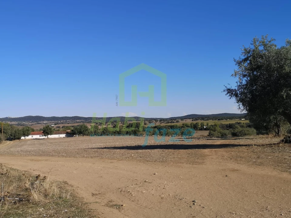 Quinta para Venda em Vimieiro Foto 10