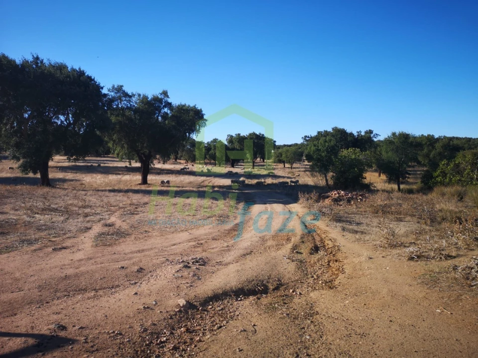 Quinta para Venda em Vimieiro Foto 14