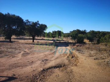 Quinta para Venda em Vimieiro
