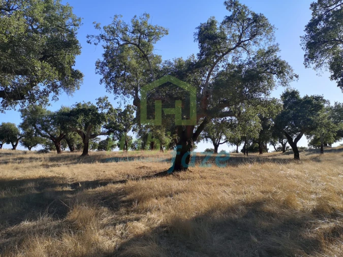Quinta para Venda em Vimieiro Foto 3