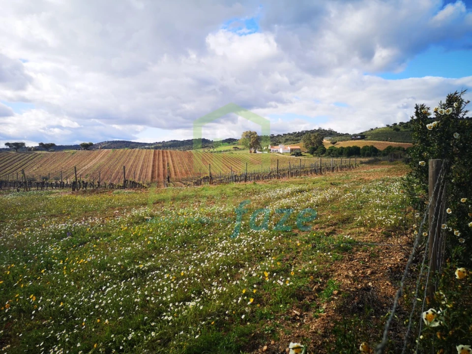 Quinta para Venda em Reguengos de Monsaraz Foto 8