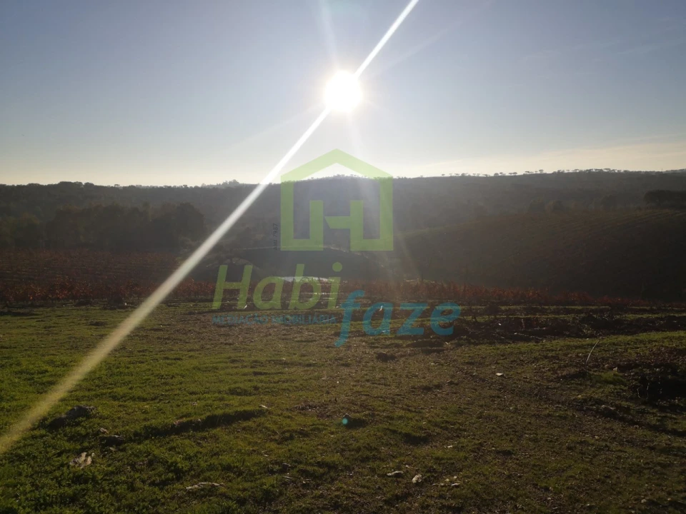 Quinta para Venda em Reguengos de Monsaraz Foto 1