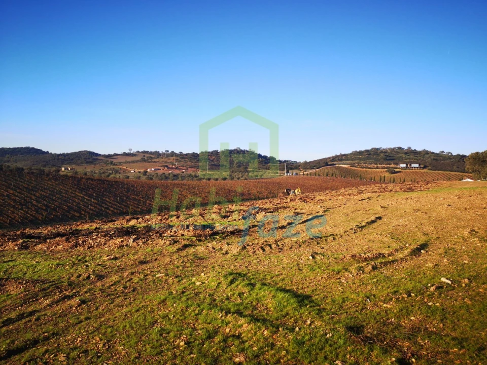 Quinta para Venda em Reguengos de Monsaraz Foto 11