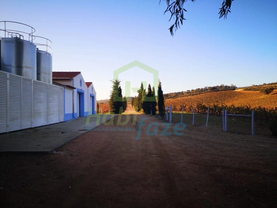 Quinta para Venda em Reguengos de Monsaraz Foto 12