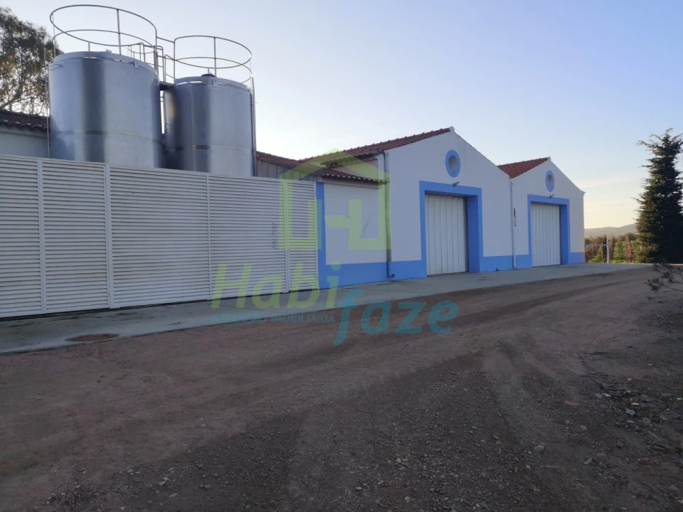 Quinta para Venda em Reguengos de Monsaraz Foto 14