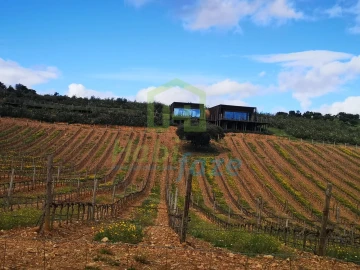 Quinta para Venda em Reguengos de Monsaraz