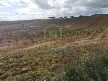 Quinta para Venda em Reguengos de Monsaraz