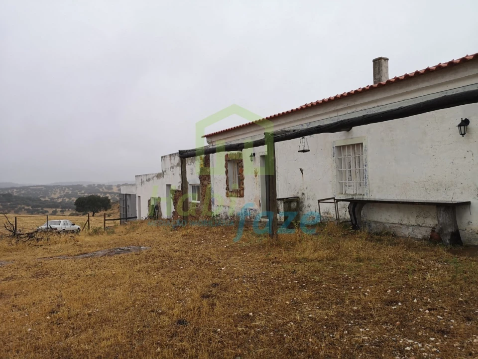 Quinta T8 para Venda em Terena (São Pedro) Foto 6