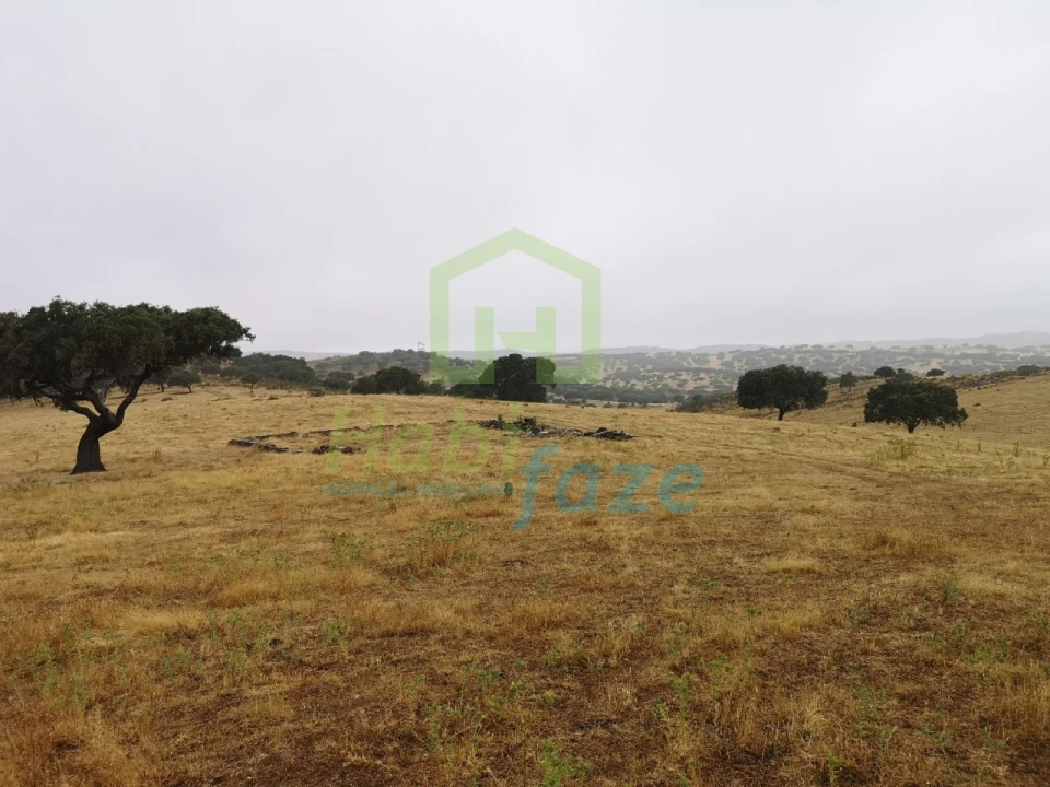Quinta T8 para Venda em Terena (São Pedro) Foto 2