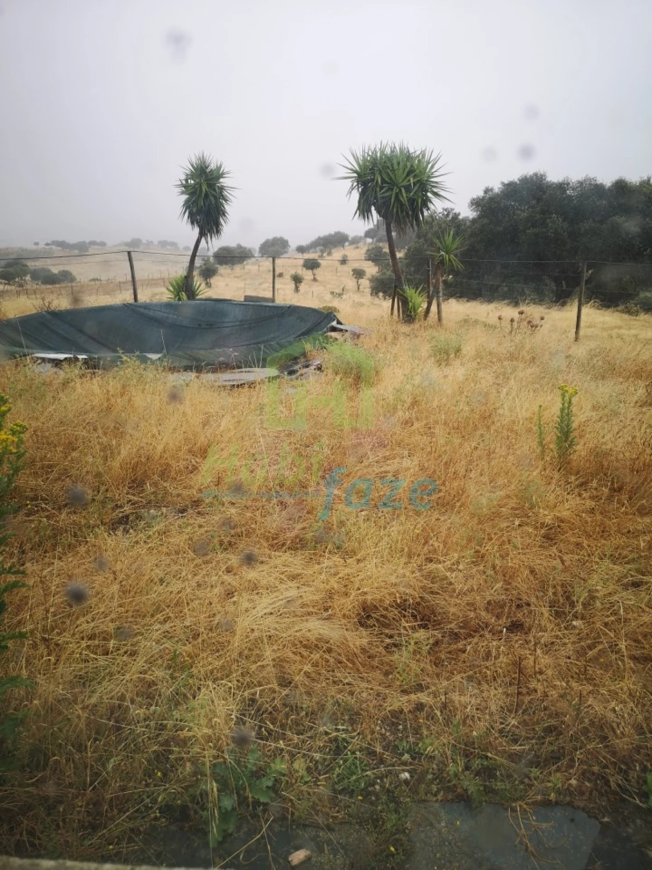 Quinta T8 para Venda em Terena (São Pedro) Foto 9
