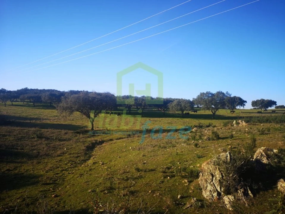 Quinta T8 para Venda em Terena (São Pedro) Foto 3