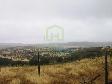 Quinta T8 para Venda em Terena (São Pedro)
