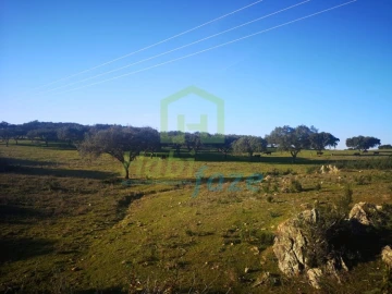 Quinta T8 para Venda em Terena (São Pedro)