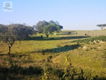 Quinta T8 para Venda em Terena (São Pedro)