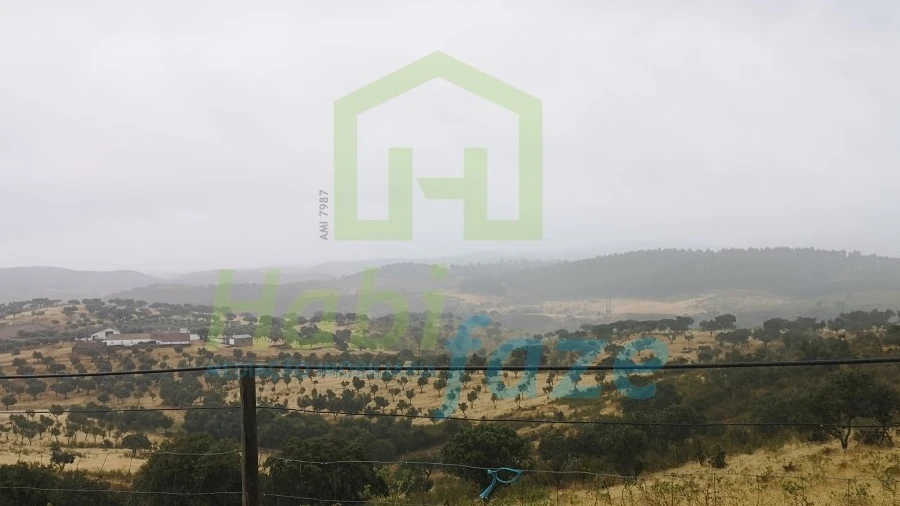 Quinta T8 para Venda em Terena (São Pedro)